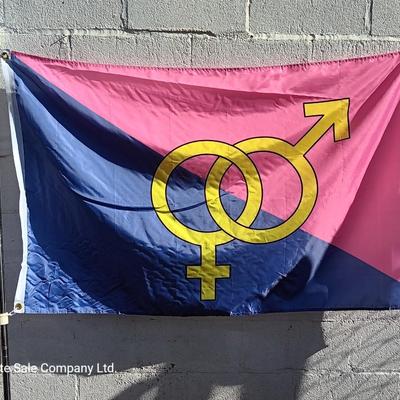 Straight Pride Themed Flag with Brass Grommets on metal flagpole