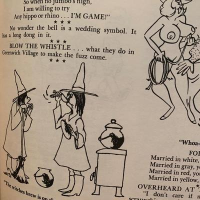 Vintage RisquÃ© Comic Collection Book