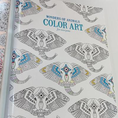 Nice assortment of Color Art Coloring books