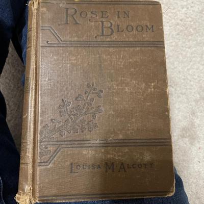 Collection of old books