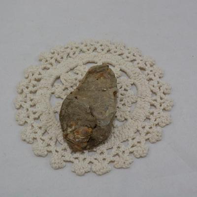 Ancient Trilobite Fossil 3x2