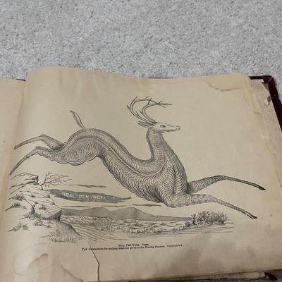 Stenographerbook