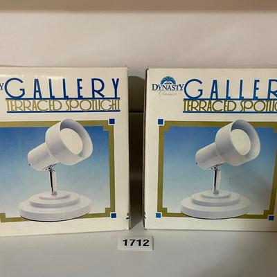 Gallery lights