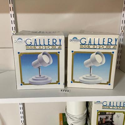 Gallery lights