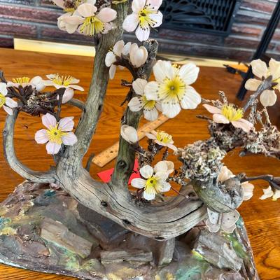 Interesting Bonzai Tree