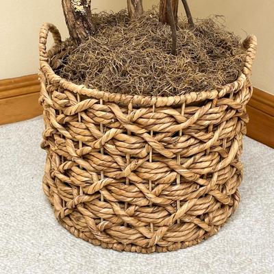 6 Ft. Ficus Tree ~ With Wicker Basket