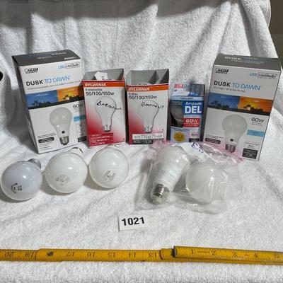 Bulbs