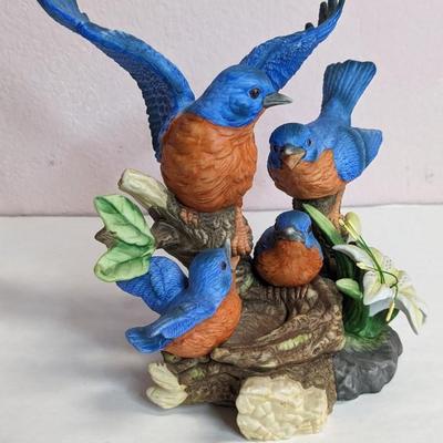 Bird Watching