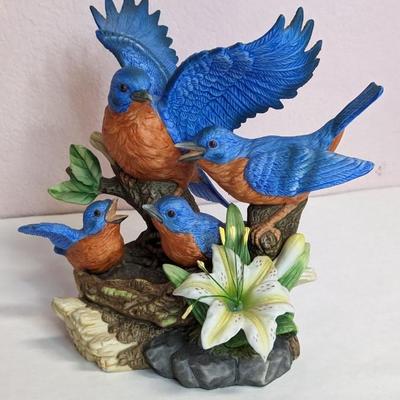 Bird Watching