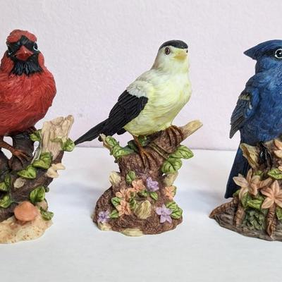 Bird Watching