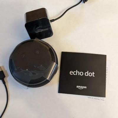 Fitbit and Echo