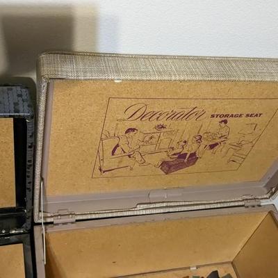 Storage Trunks