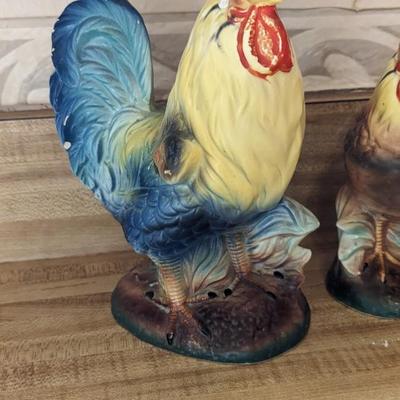 Kitchen Chickens