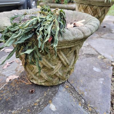 Decorative Concrete Planters (BY-DW)