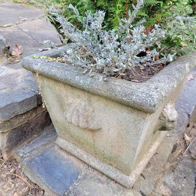 Decorative Concrete Planters (BY-DW)