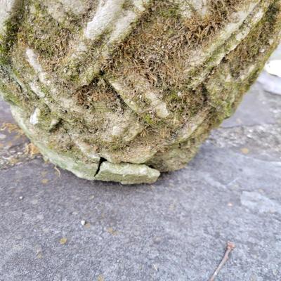 Decorative Concrete Planters (BY-DW)
