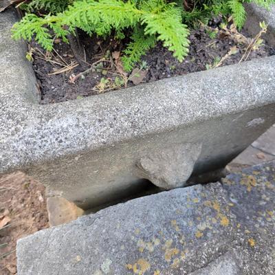 Decorative Concrete Planters (BY-DW)