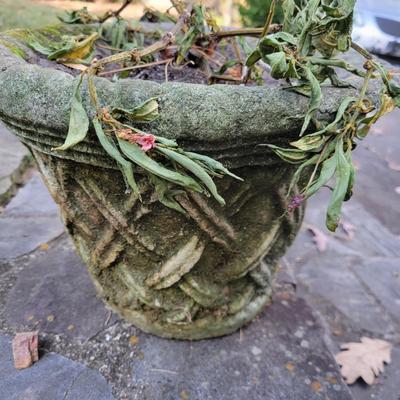 Decorative Concrete Planters (BY-DW)