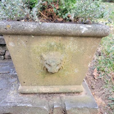 Decorative Concrete Planters (BY-DW)