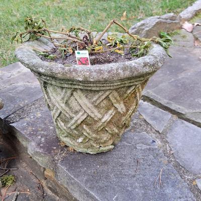 Decorative Concrete Planters (BY-DW)