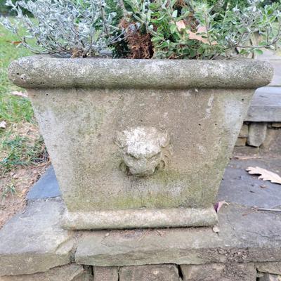 Decorative Concrete Planters (BY-DW)