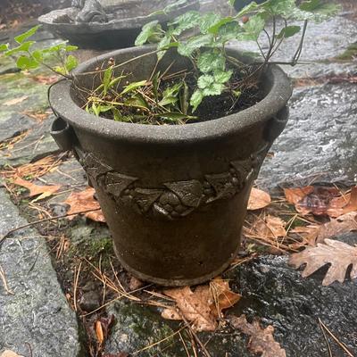Bird Bath and Cement Planter (BY-DW)