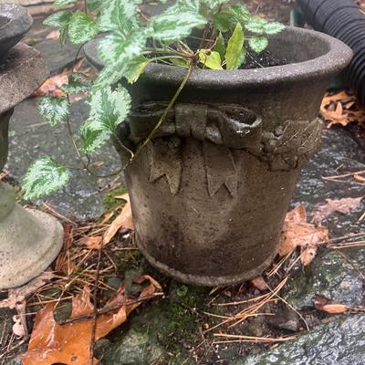 Bird Bath and Cement Planter (BY-DW)