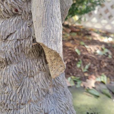 Rabbit Yard Art (BY-DW)