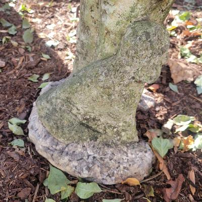 Cement Yard Art (BY-DW)