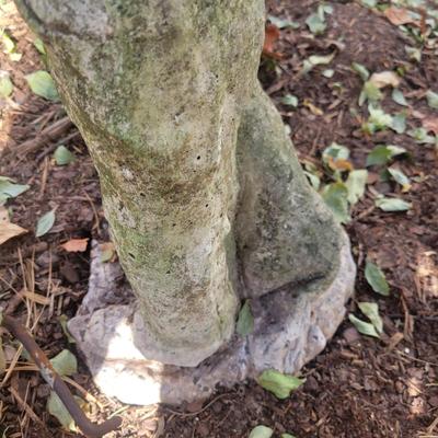 Cement Yard Art (BY-DW)