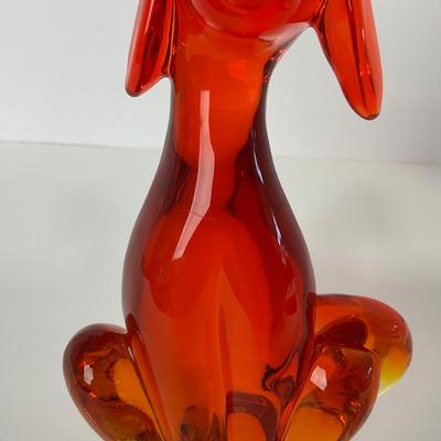 -64- VIKING | Epic orange Amberina Dog