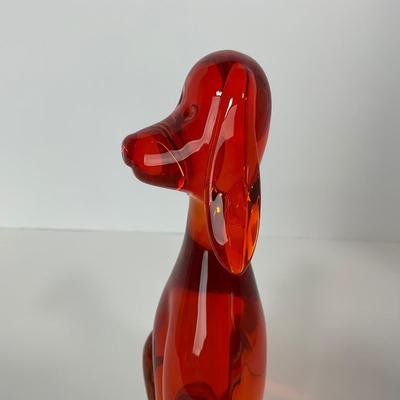 -64- VIKING | Epic orange Amberina Dog