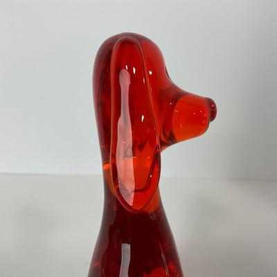 -64- VIKING | Epic orange Amberina Dog