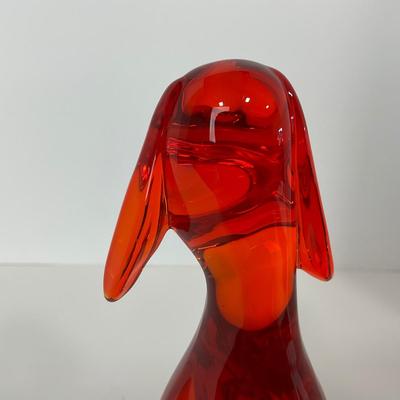 -64- VIKING | Epic orange Amberina Dog