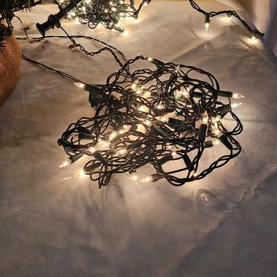 Bear Climbing Tree & Assorted Light Strings  (L-JS)