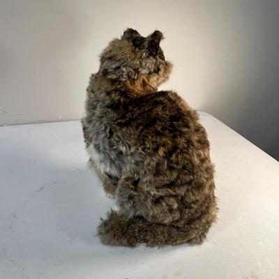 REALISTIC LIFE SIZE CAT MADE OF RABBIT FUR?