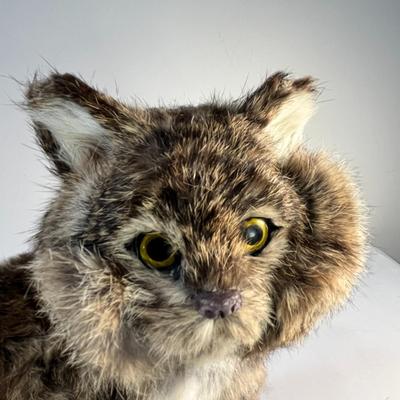 REALISTIC LIFE SIZE CAT MADE OF RABBIT FUR?