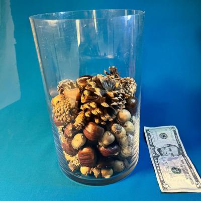 CLEAR GLASS CYLINDER VASE WITH AUTUMN ACORNS, CHESTNUTS AND PINECONES
