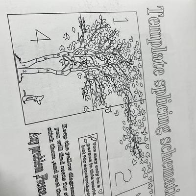 LARGE TREE WALL DECAL ART KIT 