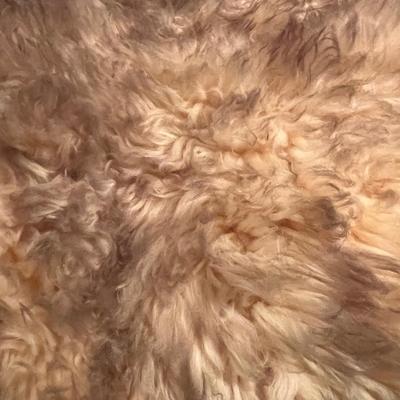 Two Sheepskin Hides (UB1-MK)
