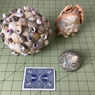 Seashell Decor Bundle