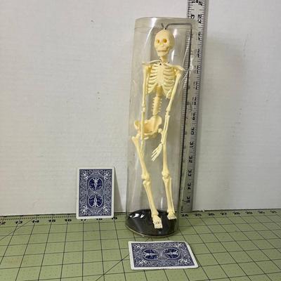 Body Skeleton Mini Model