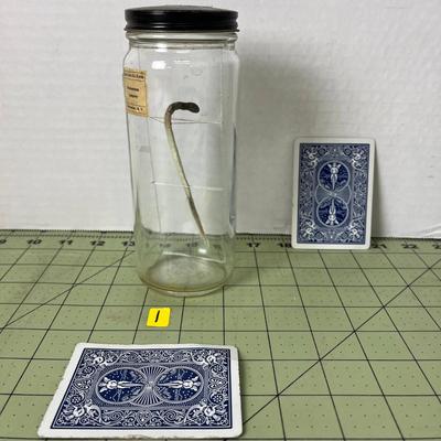 Glass Jar Specimen - Petromyzon Lamprey