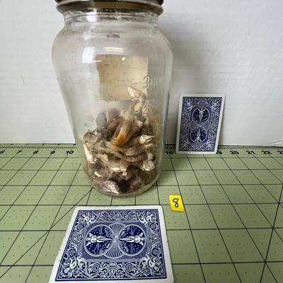  Glass Jar Specimen - Goose Neck Barnacles
