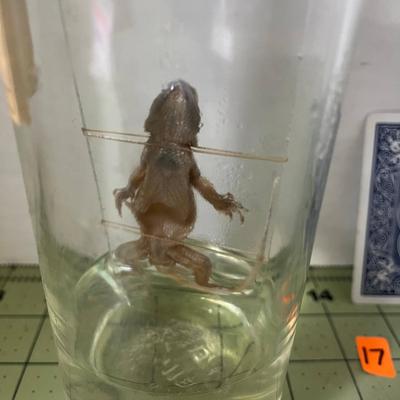 Glass Jar Specimen - Lizard