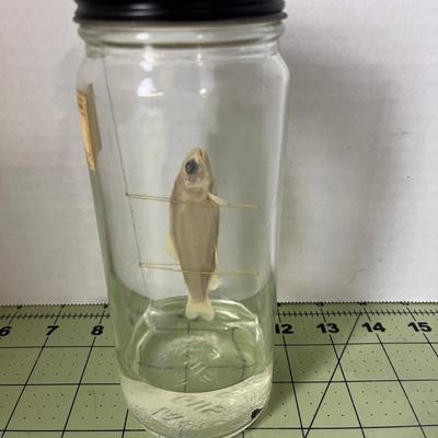 Glass Jar Specimen - Fish