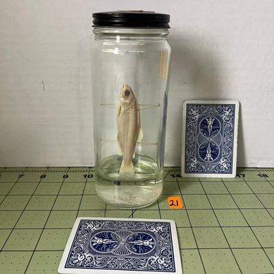 Glass Jar Specimen - Fish
