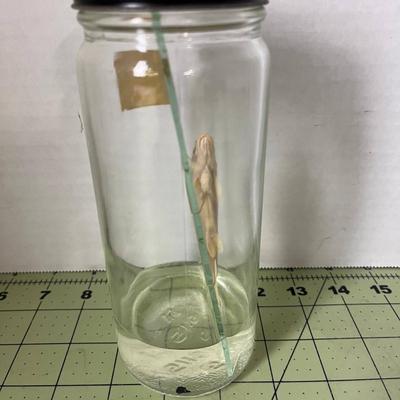 Glass Jar Specimen - Fish