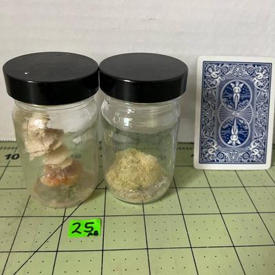Glass Jar Specimen - Sponge (x2)