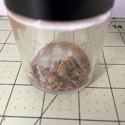Glass Jar Specimen - Freshwater Sponge